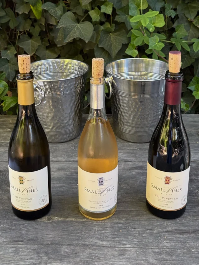 Allocation - Small Vines